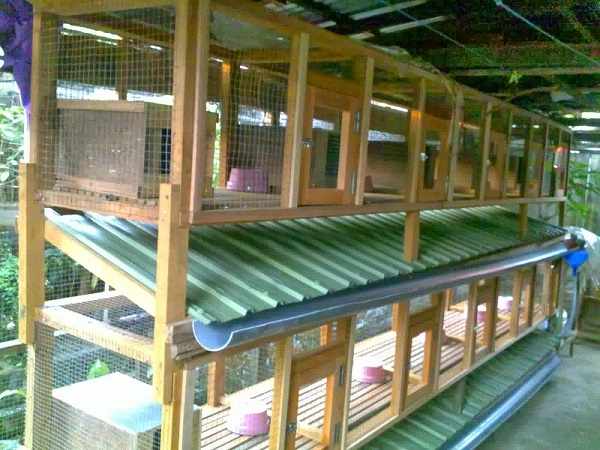 Cara membuat kandang kelinci bertingkat
