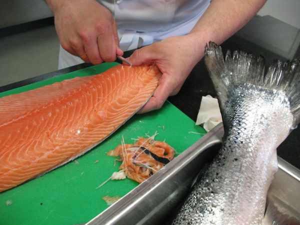 Ikan salmon dan harganya