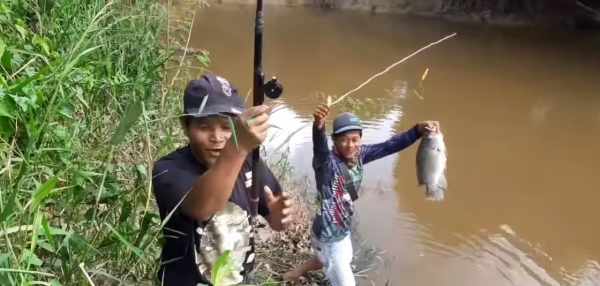 Mancing ikan nila