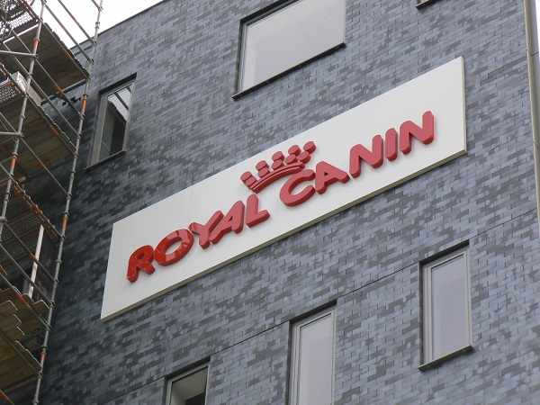 Royal Canin, makanan kucing anggora