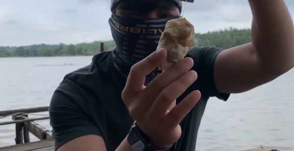 Umpan ikan patin sungai