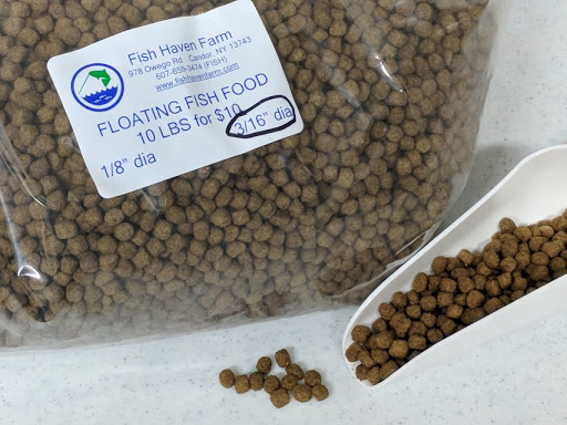 Pelet untuk makanan ikan arwana