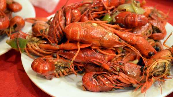Harga lobster air tawar
