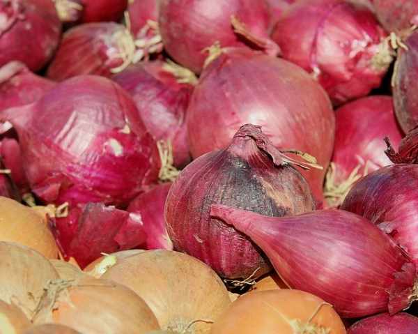 Cara menanam bawang merah di pot, rumah, tanpa tanah