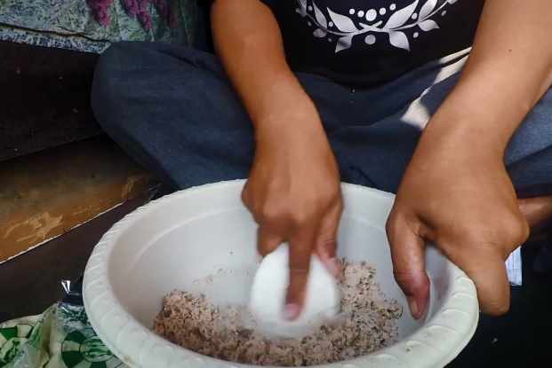 Umpan ikan mas harian