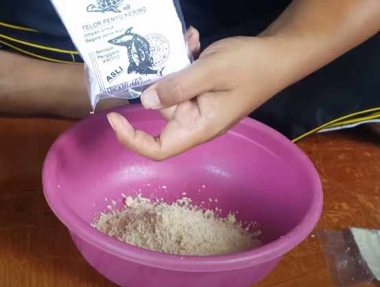 Umpan telor penyu
