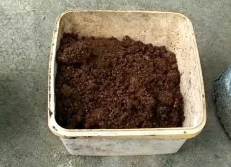 Pemupukan tanaman tomat