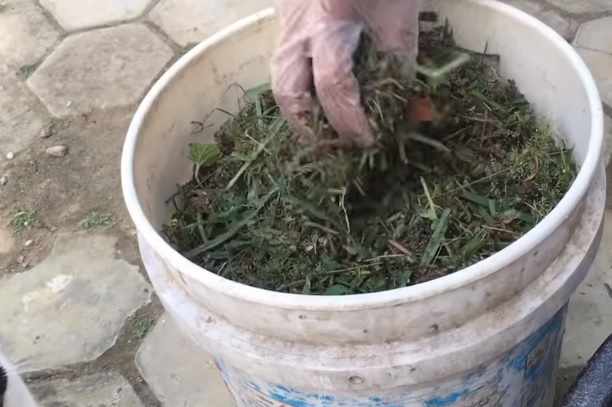 Pupuk kompos
