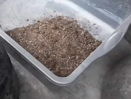 Pupuk urea
