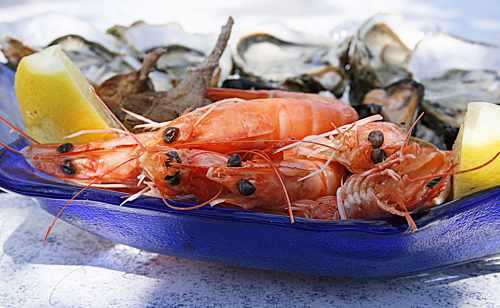 Udang